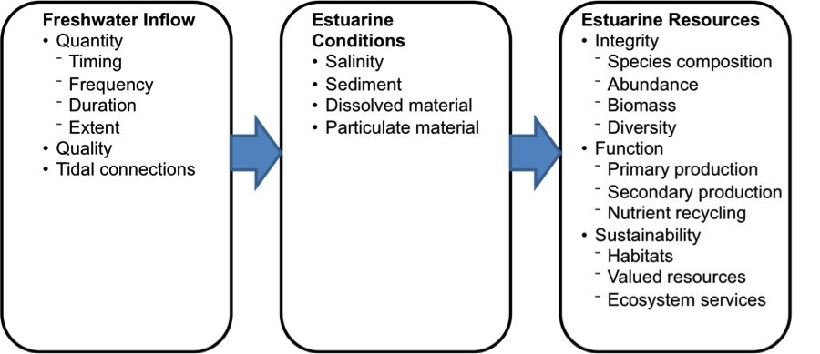 The &ldquo;Domino Theory&rdquo; that freshwater inflow has an indirect effect on estuarine resources by controlling estuary condition.